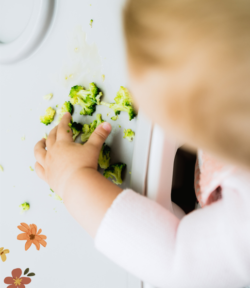 Atelier Diversification Menée par l’Enfant (DME)