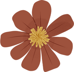 Image de pétale de fleur